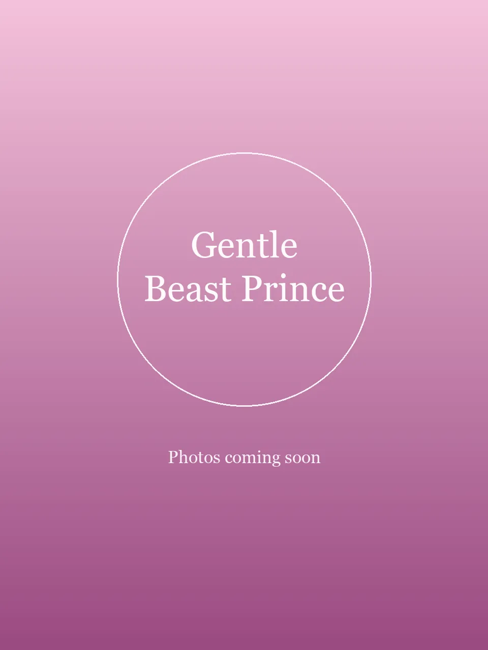Gentle Beast Prince party character in Nashville