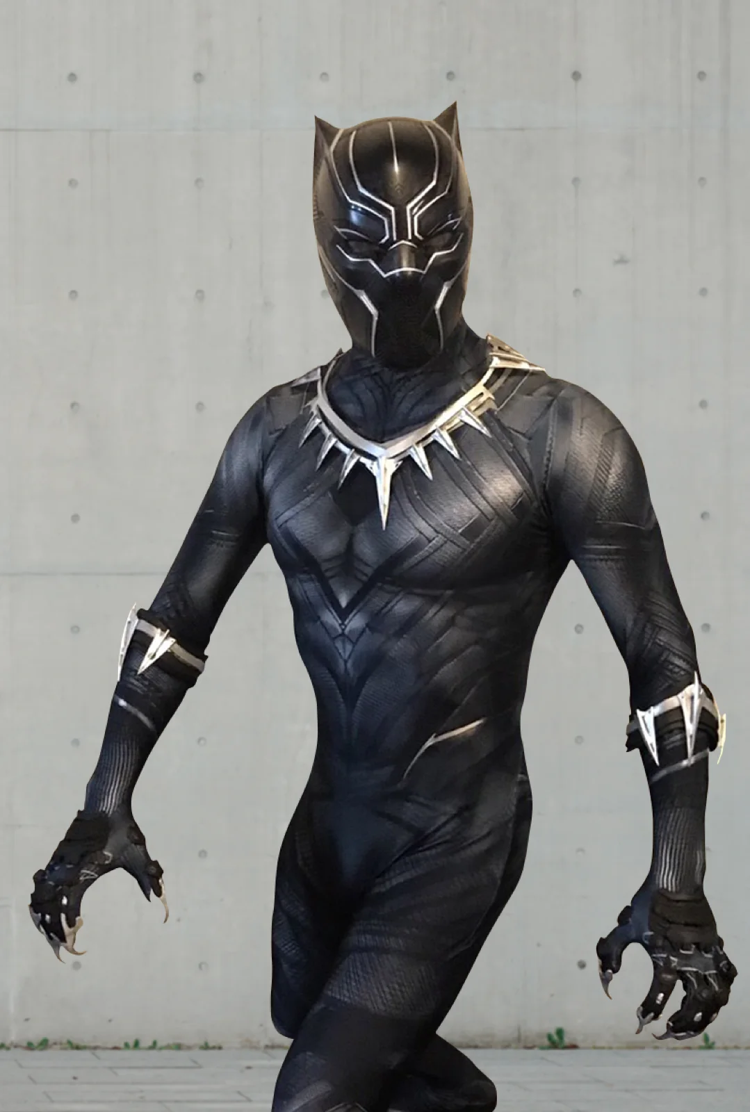 Panther Hero party character in Nashville