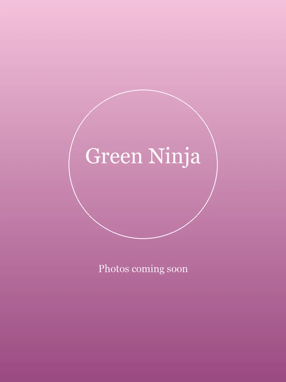Green Ninja party character in Nashville
