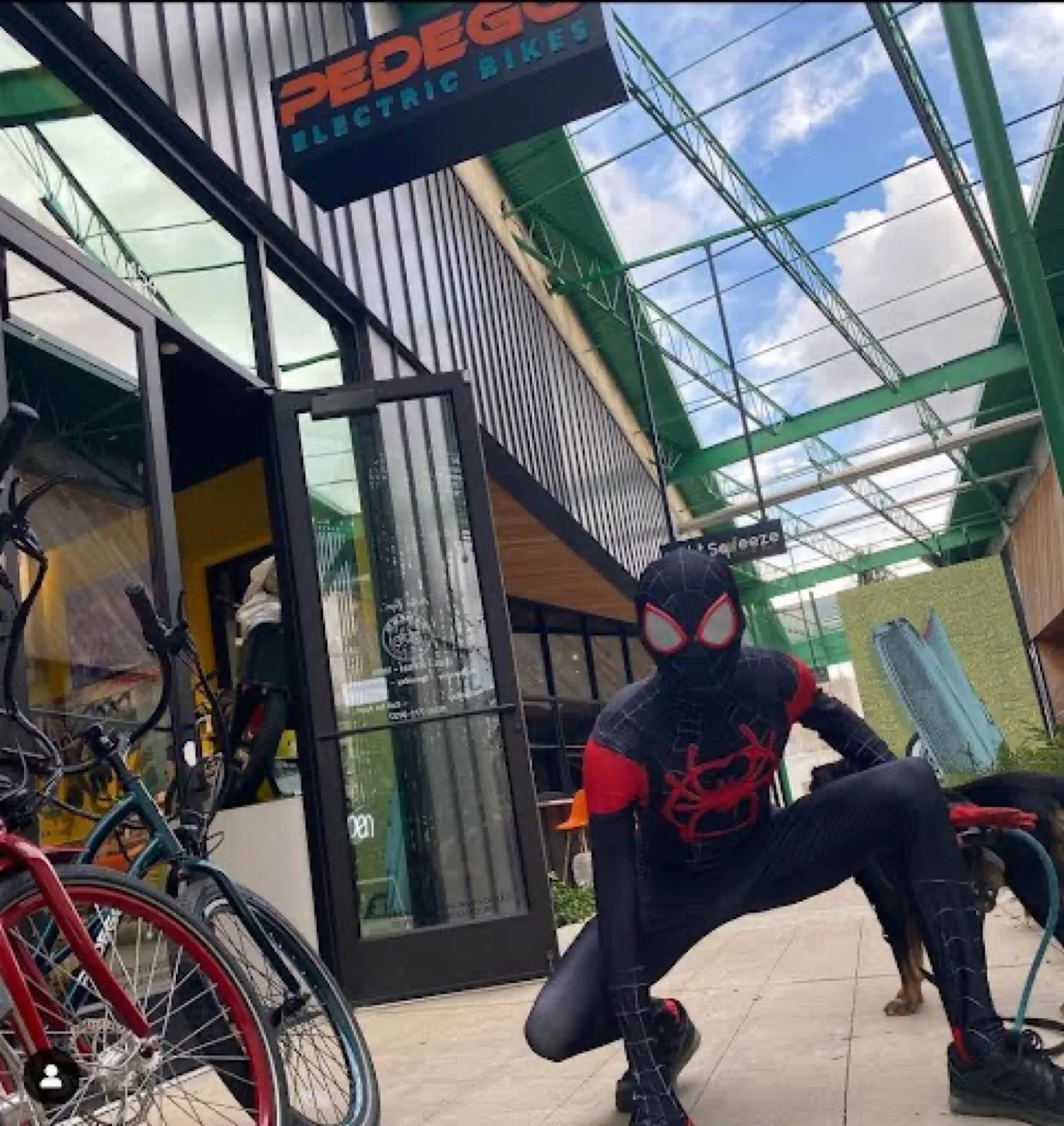 Masked Web Hero party character in Nashville