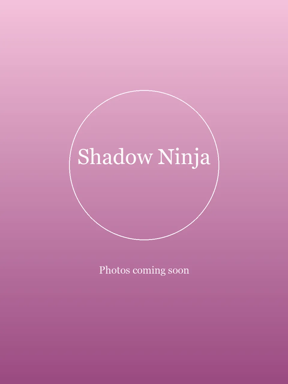Shadow Ninja party character in Nashville