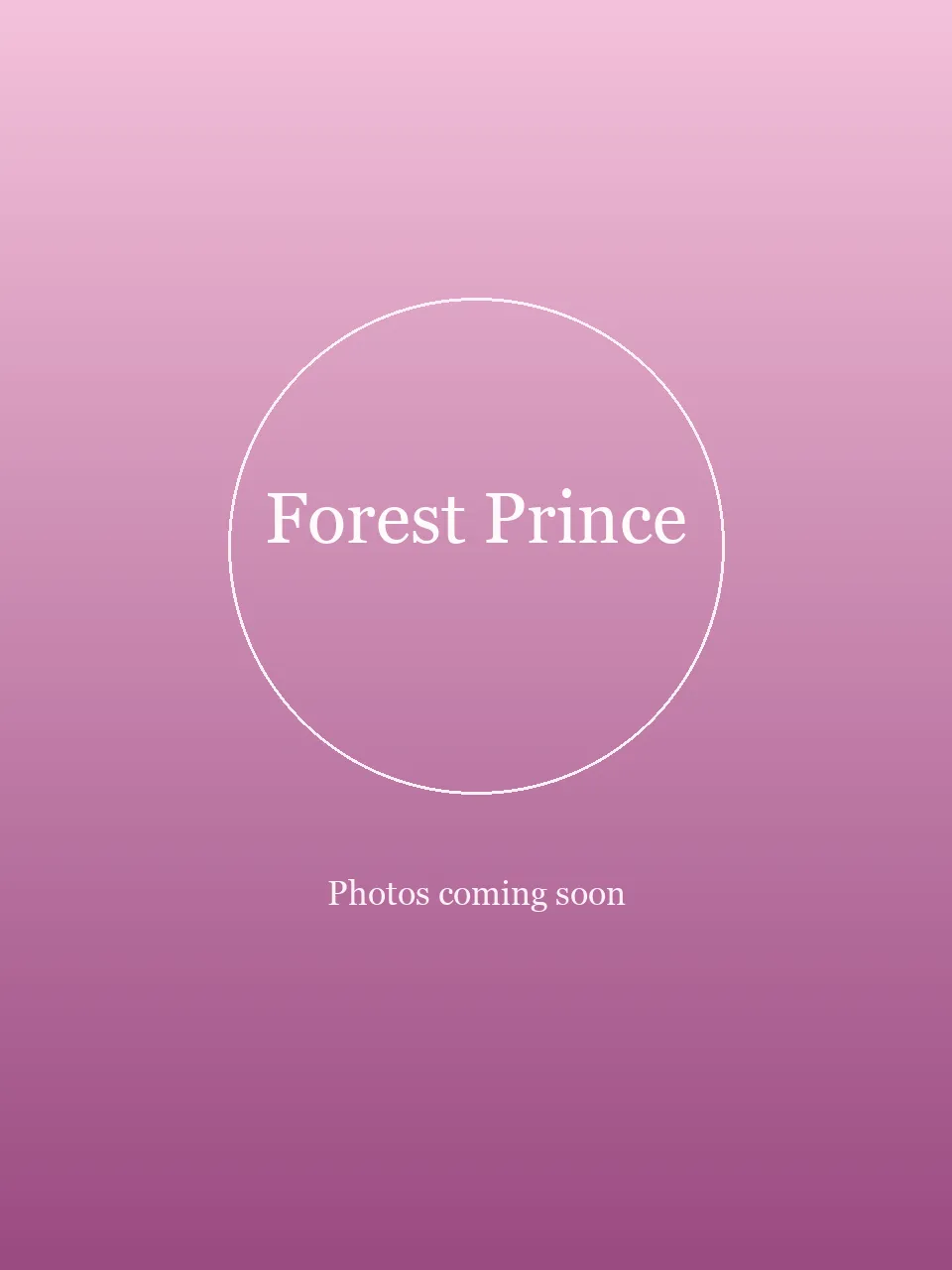 Forest Prince party character in Nashville