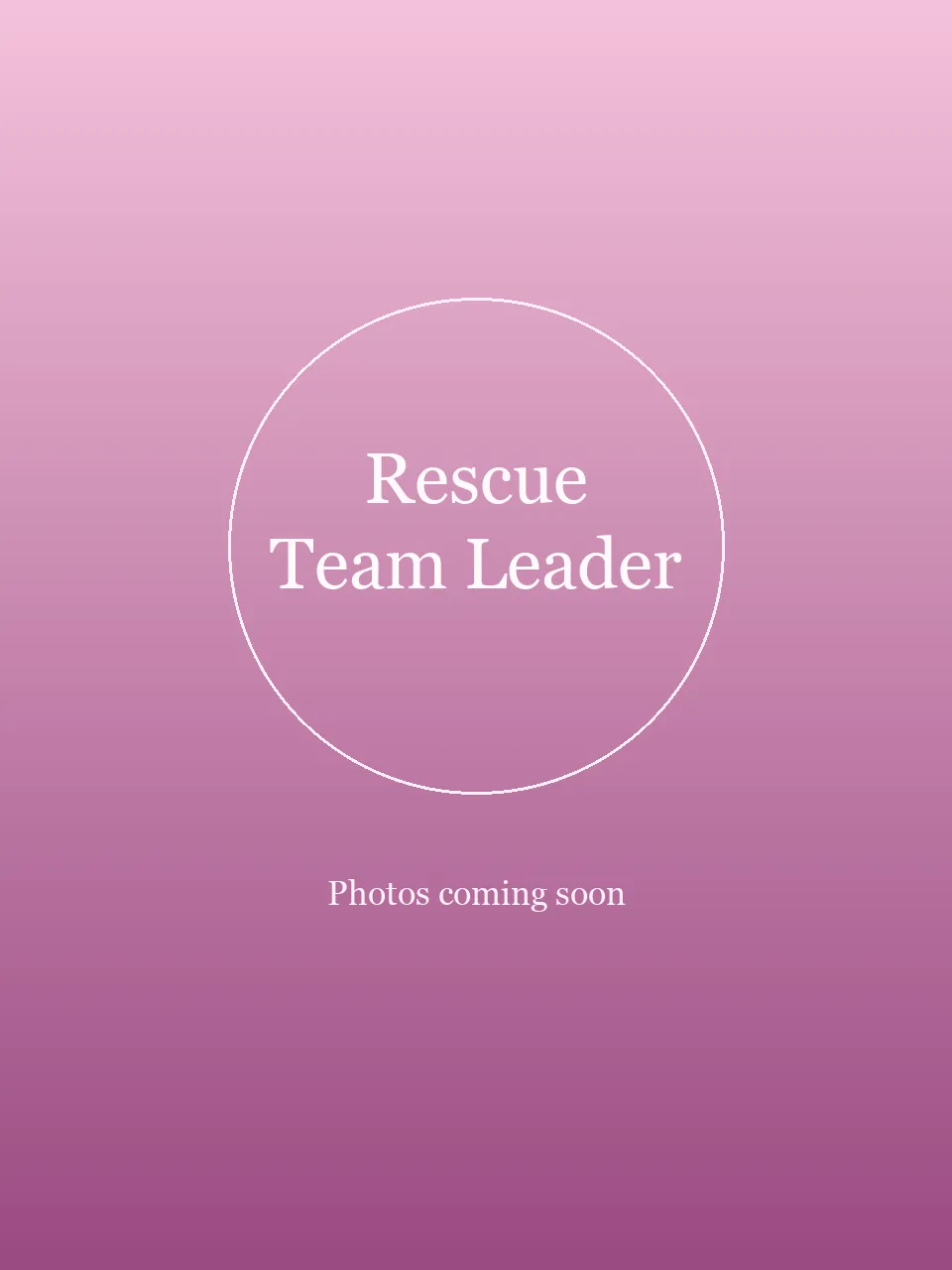 Rescue Team Leader party character photo 2
