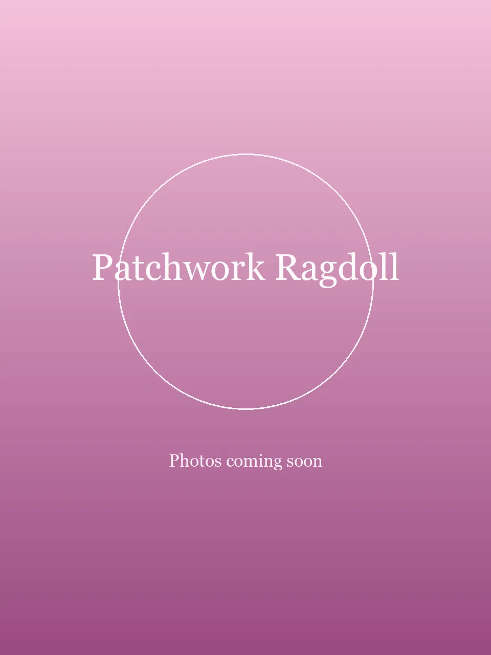 Patchwork Ragdoll party character in Nashville